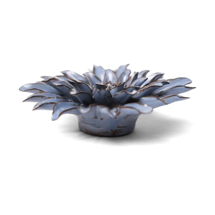 Gerbera Daisy in Blue Grey, from Chive