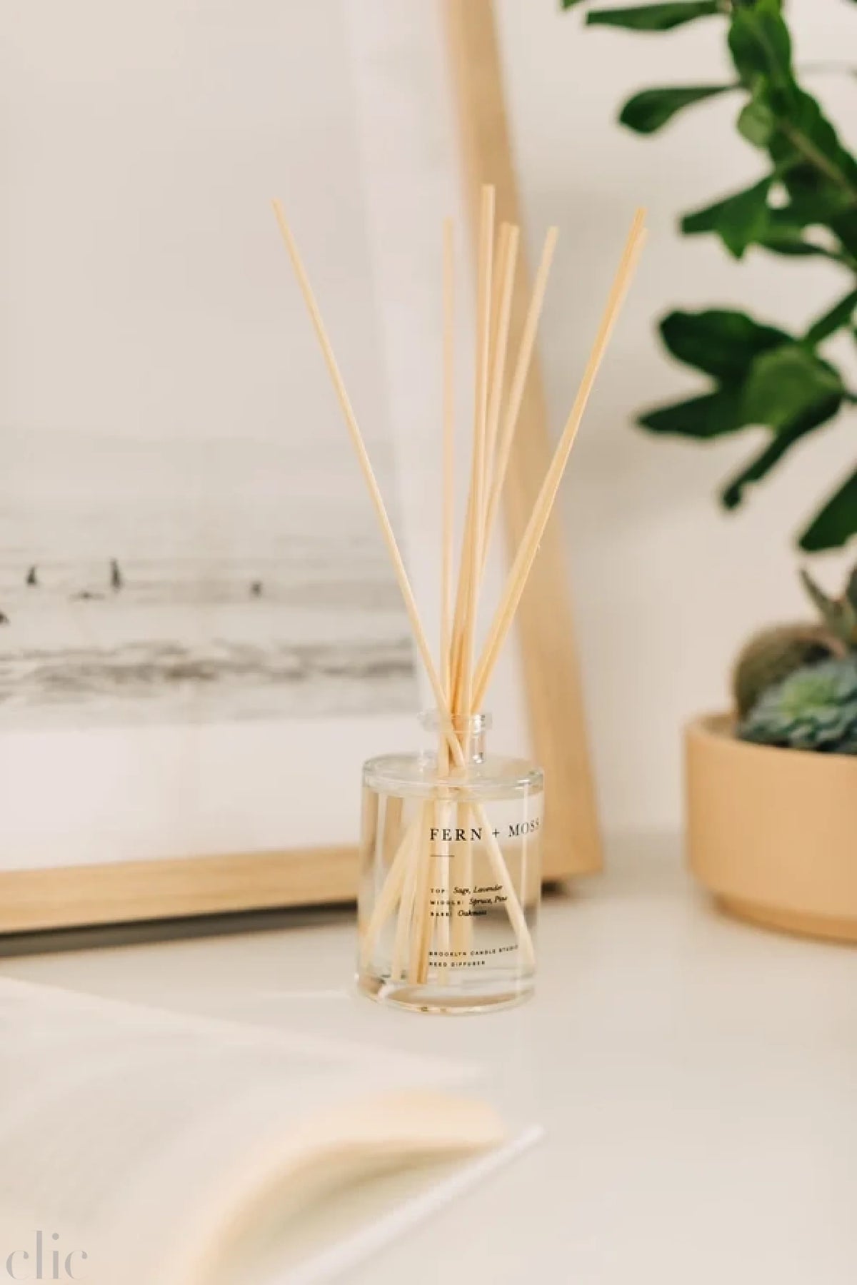 Fern and Moss Reed Diffuser, from Brooklyn Candle Studio