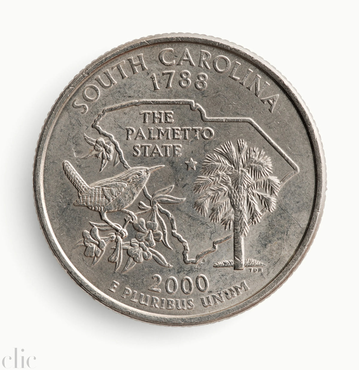 South Carolina by Blaise Hayward