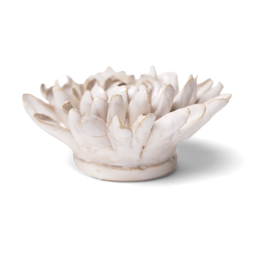 Coastal Chrysanthemum in Ivory, from Chive