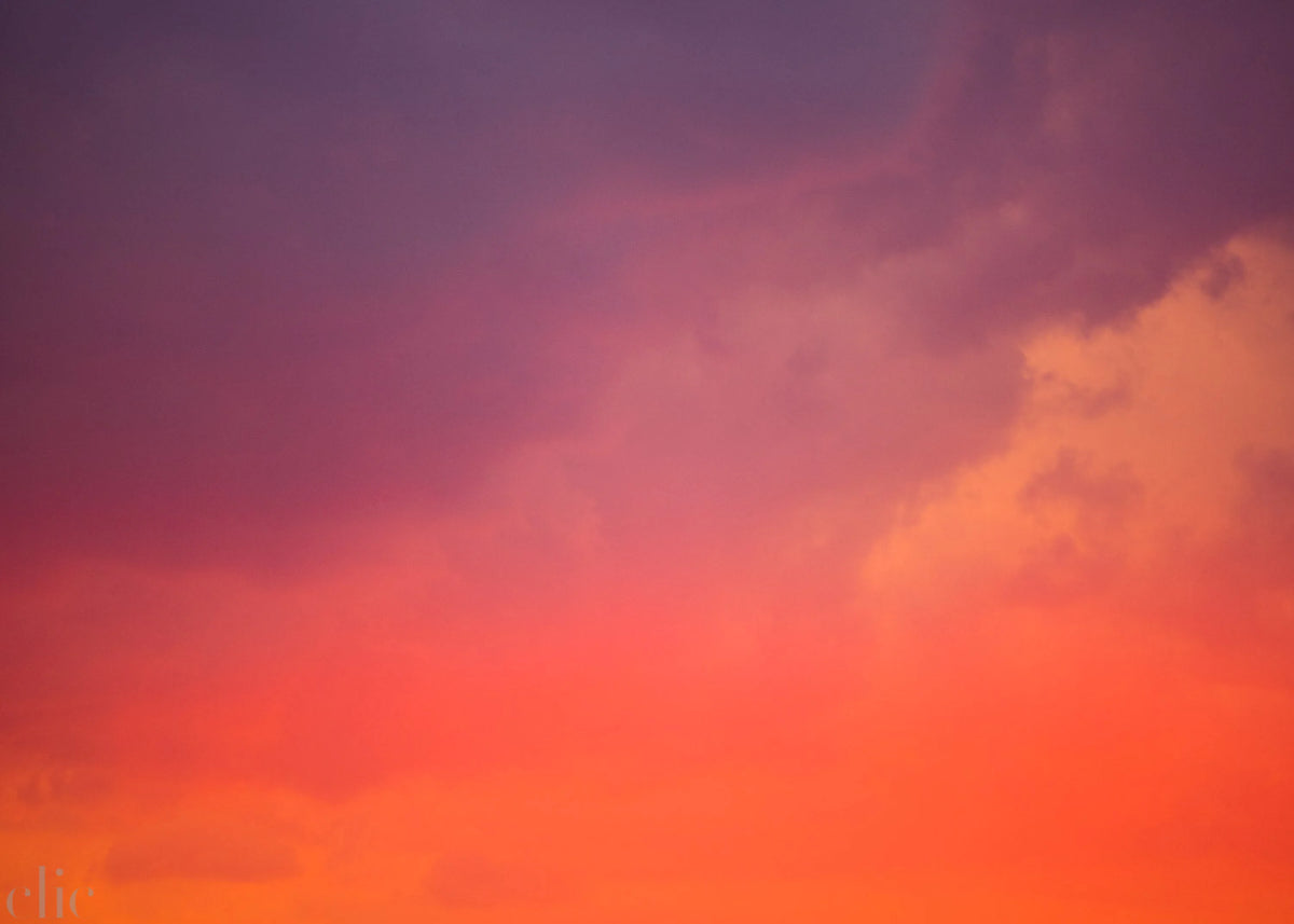 Bondi Colour Storm by Pottsy