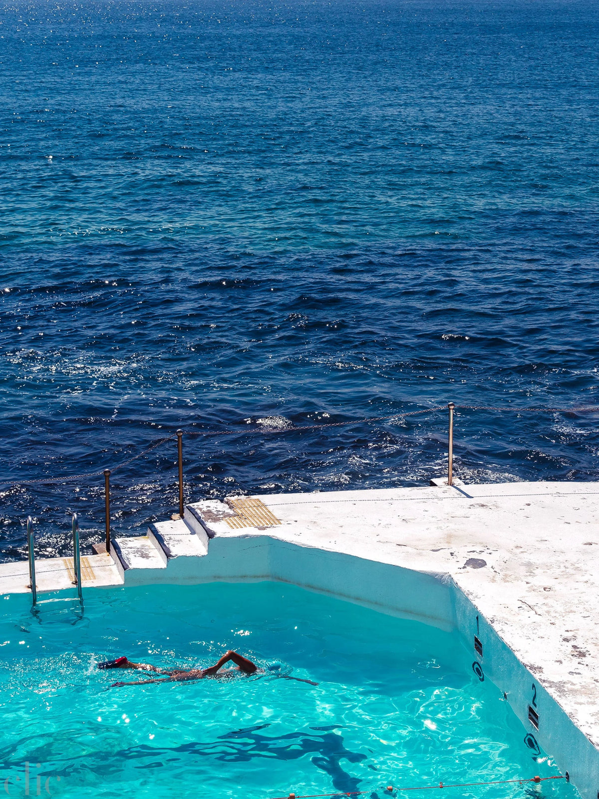 Icebergs Swimmer by Pottsy