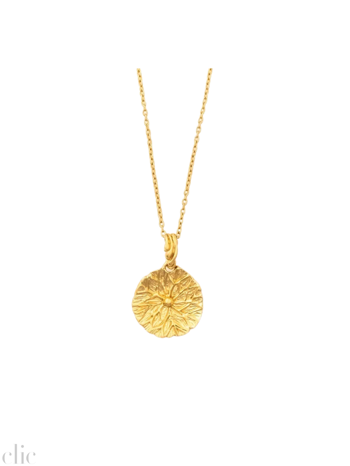 Small Pendant Necklace in Gold Vermeil, from Carina Hardy