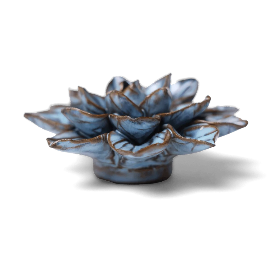 Frikartii Aster in Seasonal Blue, from Chive