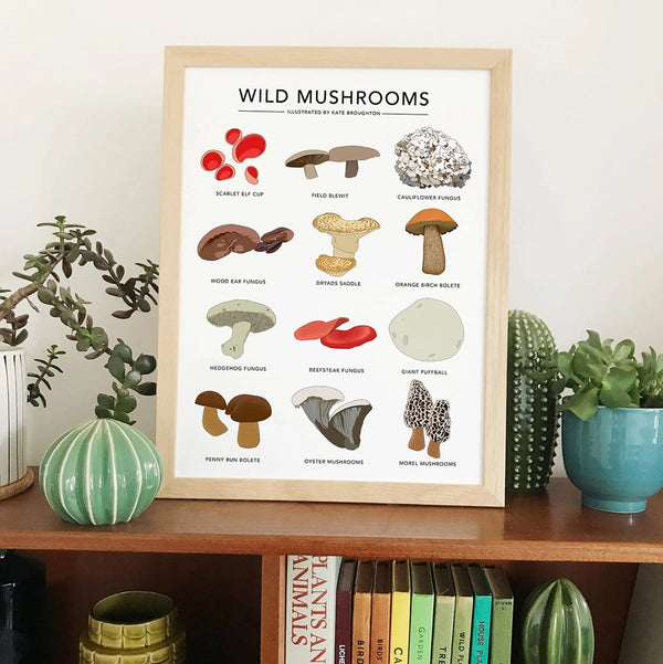 Wild Mushrooms Print