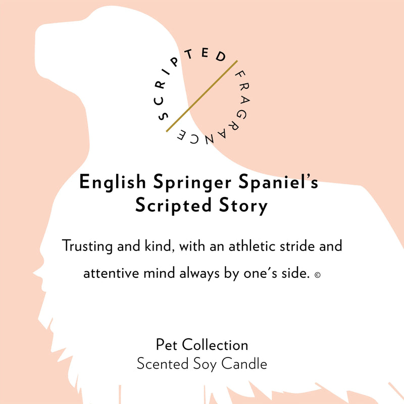 English Springer Spaniel Dog Candle, from Scripted Fragences