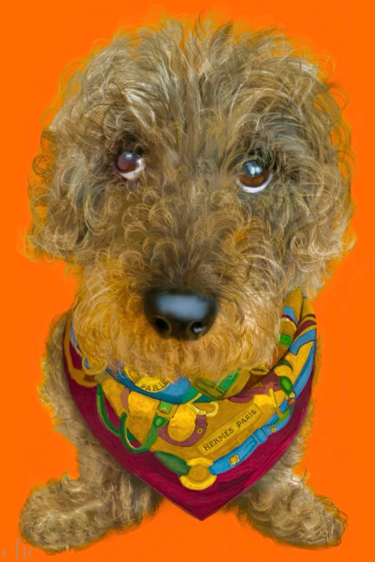 Jacques by Rory Gevis