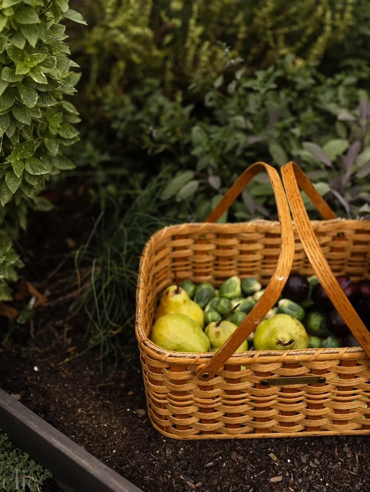 Naomi's Gardening Basket