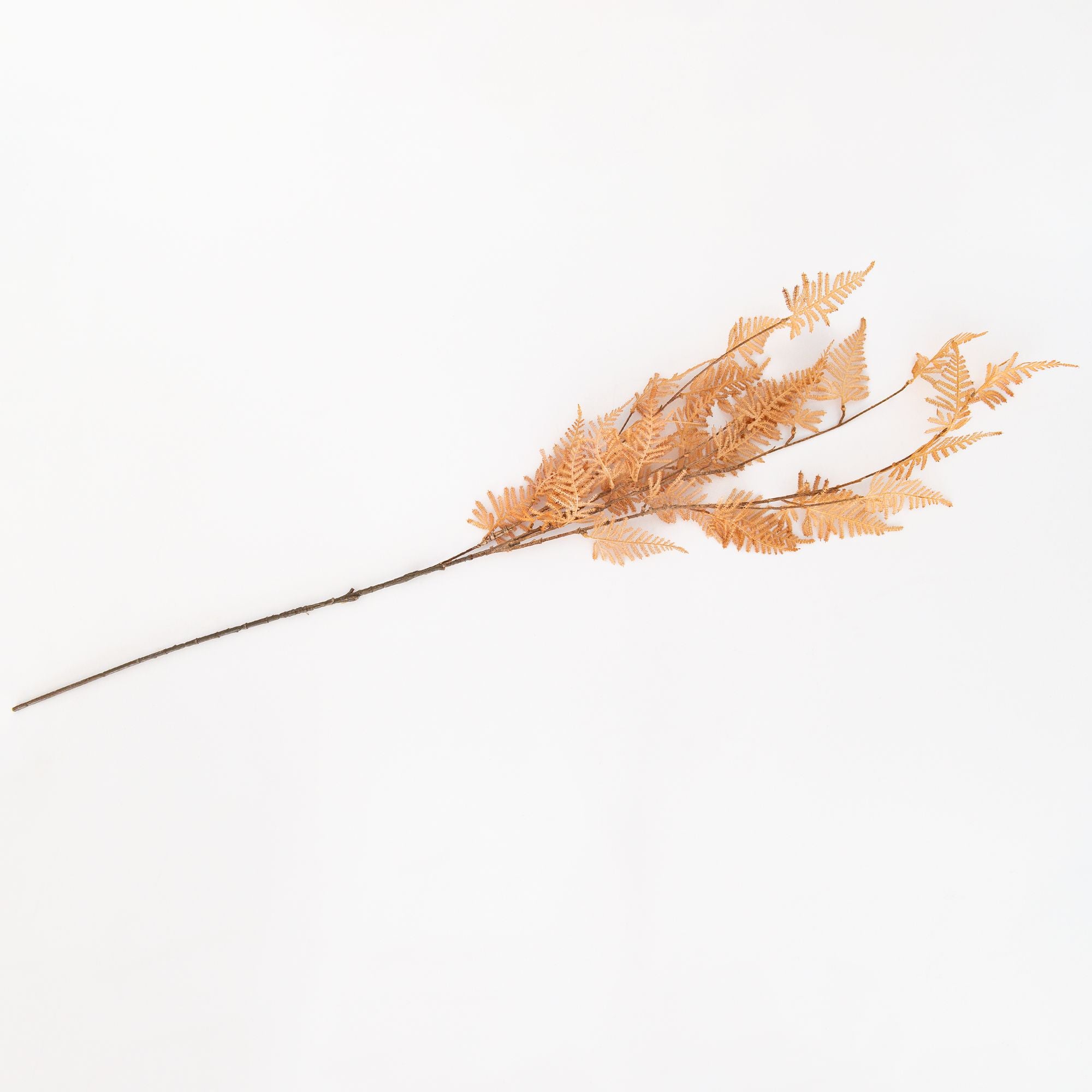 Woodland Fern Artificail Flower, from Abigail Ahern