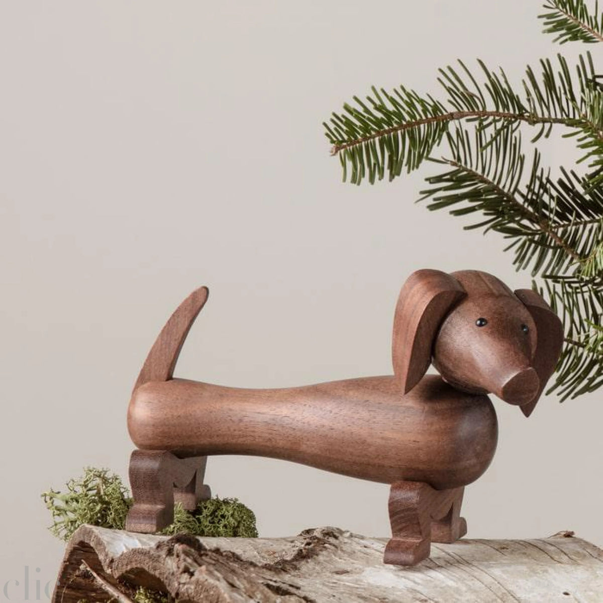 Dog in Walnut