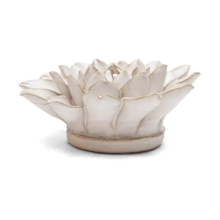 Monch Aster Dahlia in Ivory, from Chive