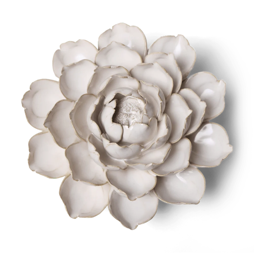 Coastal Ceramic Flower in Ivory Mofo, from Chive