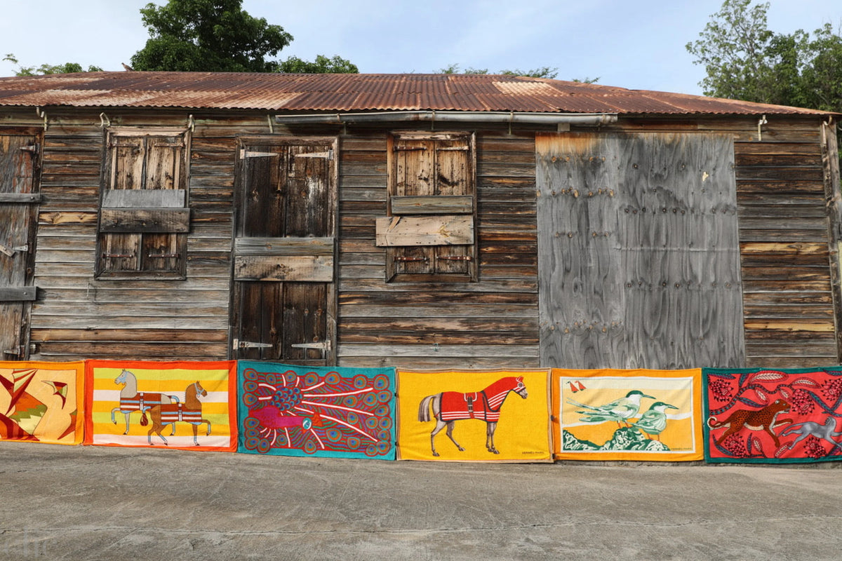 Route Sous Le Fort, Gustavia, Saint Barthélemy, 2023 by Tierney Gearon