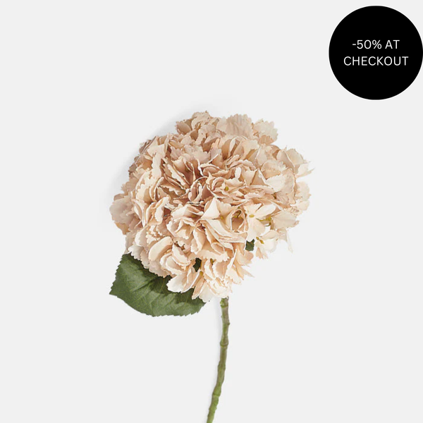 Hydrangea Vanilla from Abigail Ahern