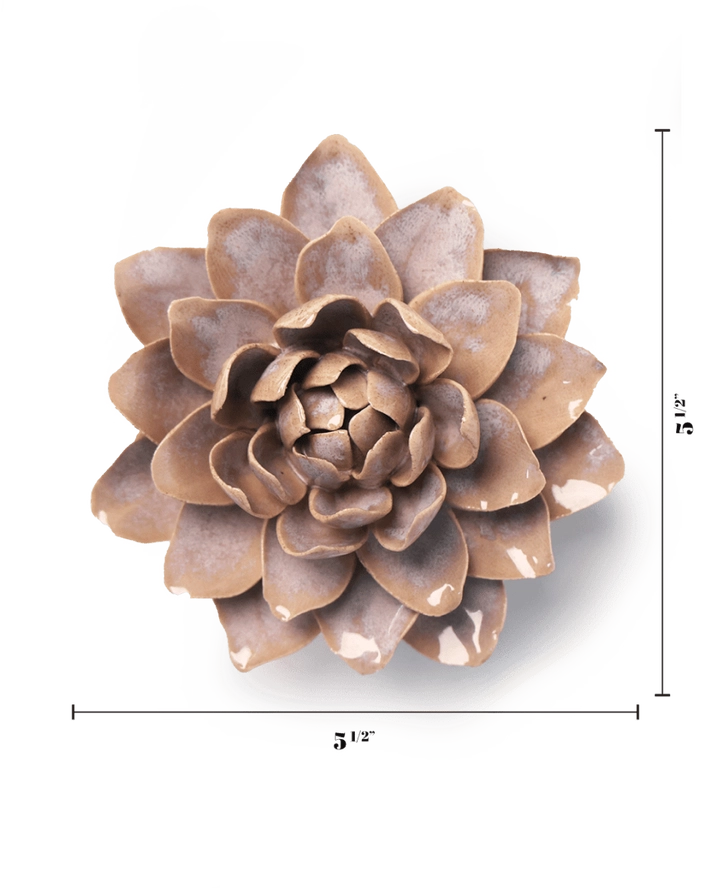 Waterlily July Birth Flower