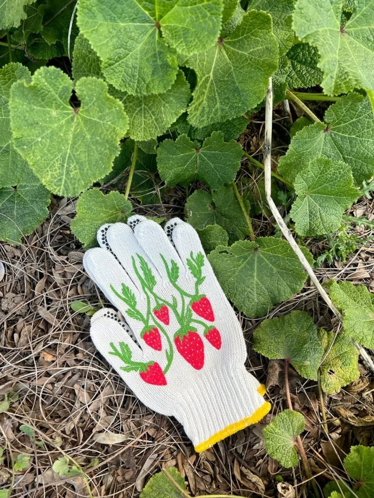 Strawberry Gardening Gloves