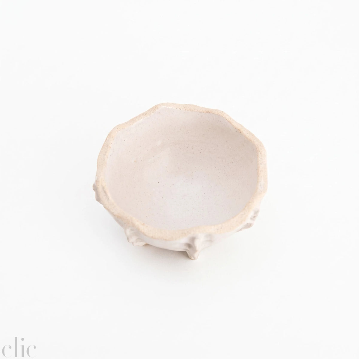 Small Sea Urchin Salad Bowl in White