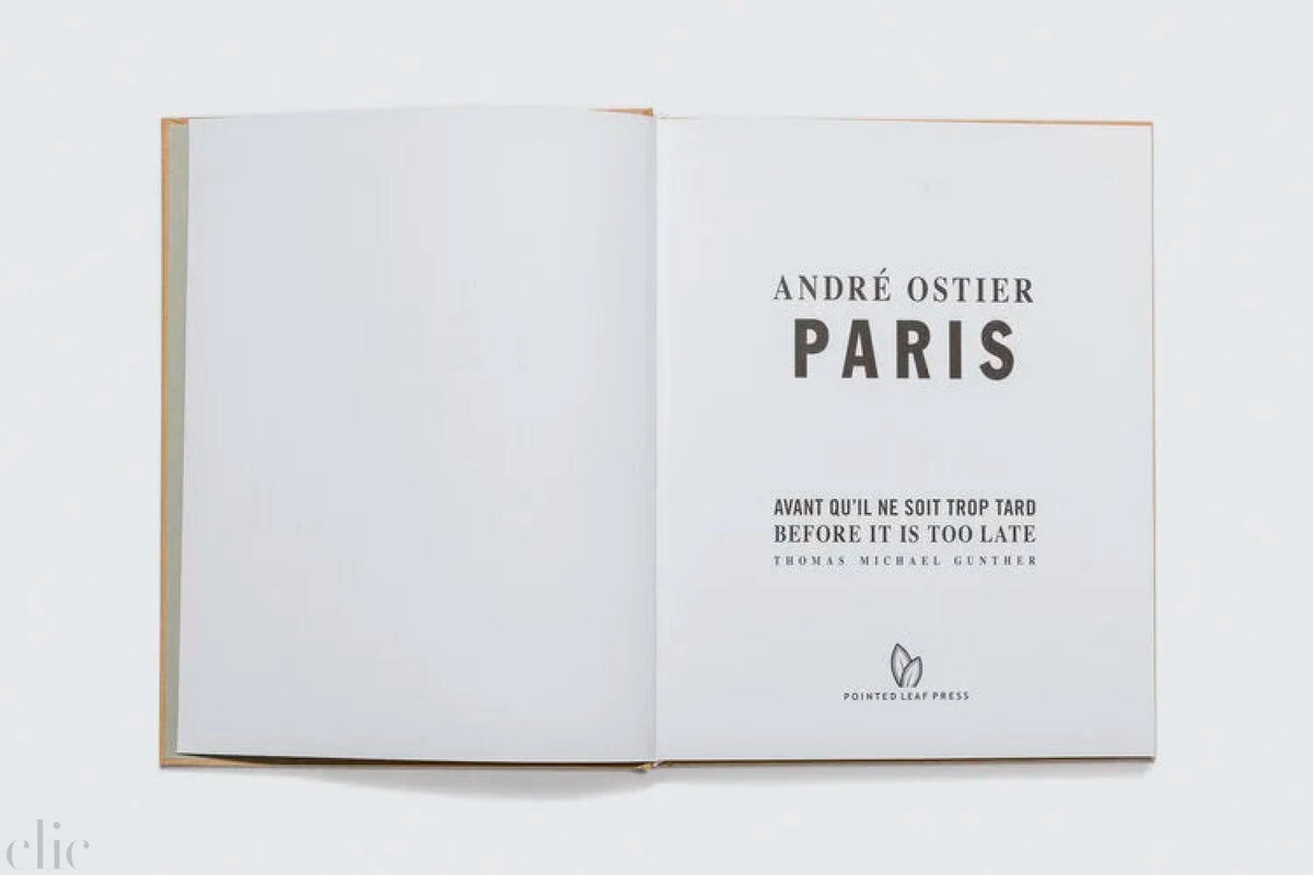 Paris, Before It Is Too Late