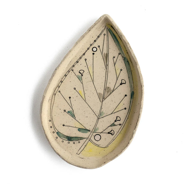 Leaf Anatomy Dish 4, from Helen Prior