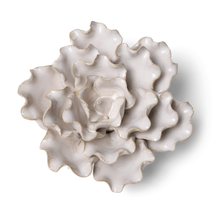 Sea Lettuce Flower in Ivory, from Chive
