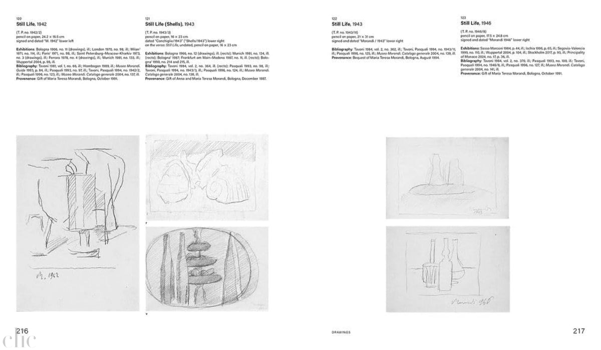The Morandi Museum: Catalogue Raisonné