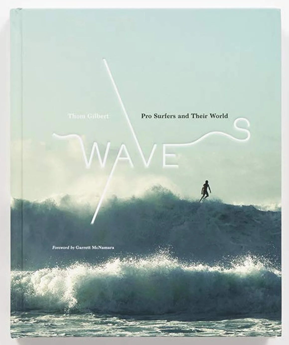 Waves: Portraits and stories from big-wave surfers chasing monsters around the globe.