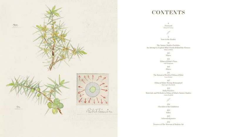 Hilma af Klint: What Stands Behind the Flowers