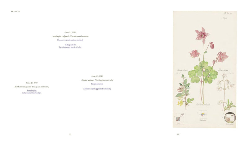 Hilma af Klint: What Stands Behind the Flowers