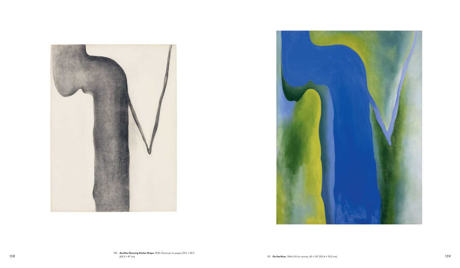 Georgia O’Keeffe: To See Takes Time