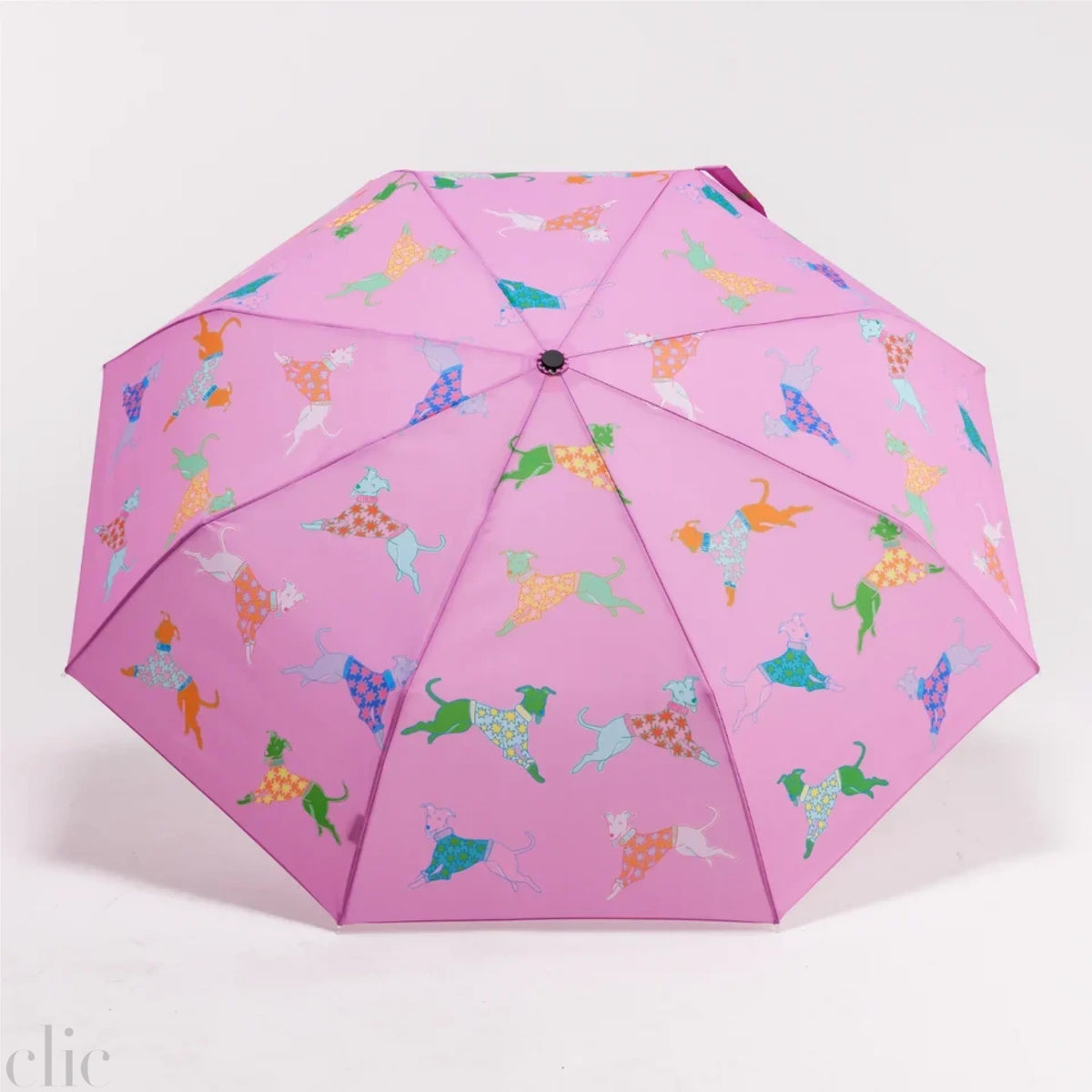 Dogs Whippet Compact Umbrella in Pink, from Original Duckhead