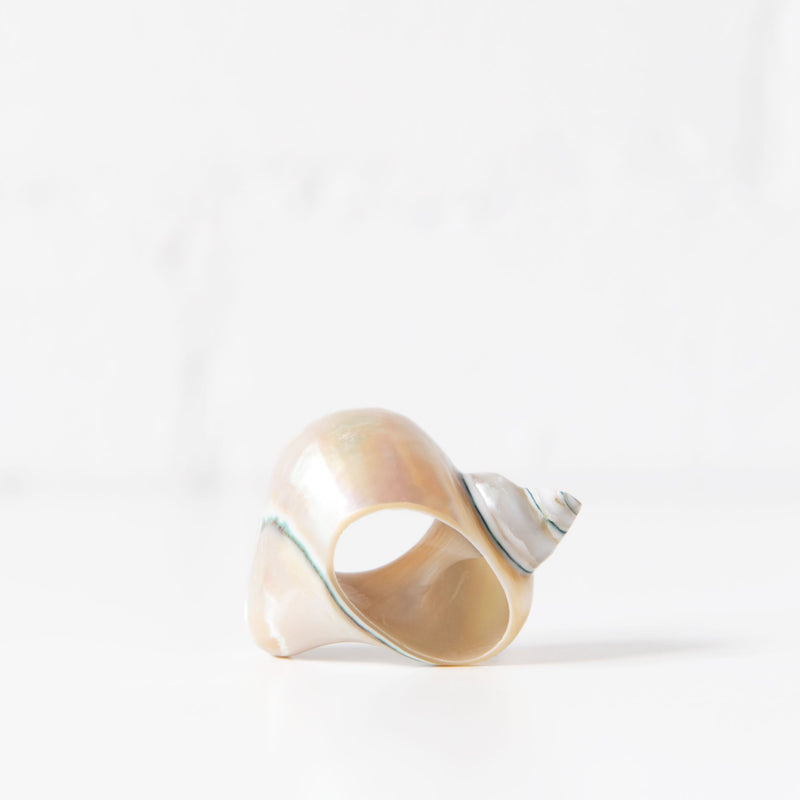 Sea Shell Napkin Ring, from Tonkin