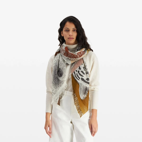 Freres Scarf, from Inoui Editions