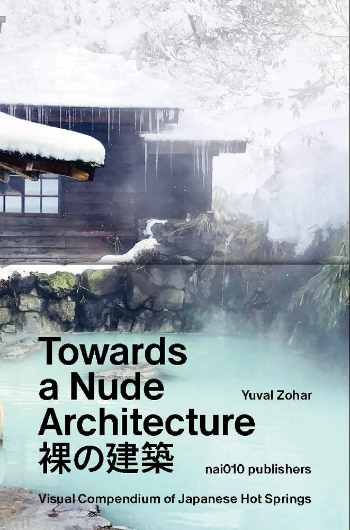 Towards a Nude Architecture: A Visual Compendium of Japanese Hot Springs