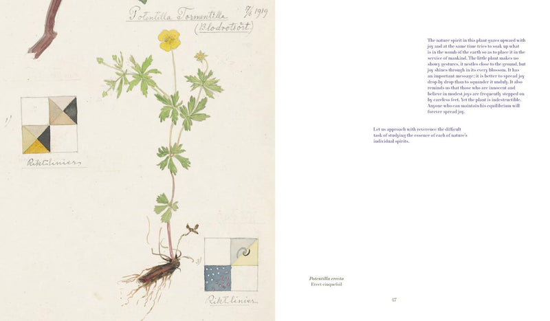 Hilma af Klint: What Stands Behind the Flowers