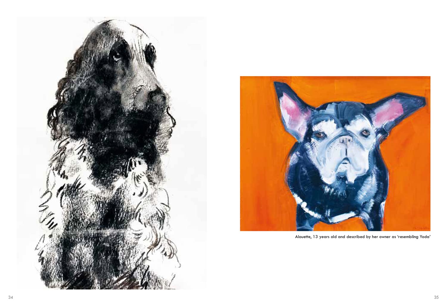 Old Dogs