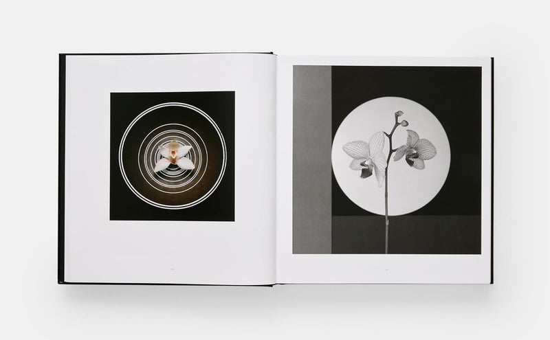 Mapplethorpe Flora: The Complete Flowers