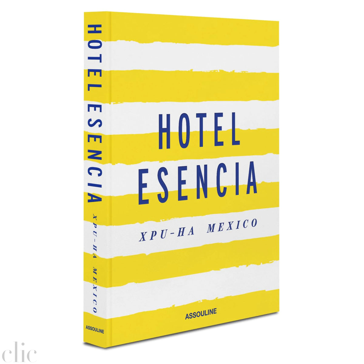 Hotel Esencia
