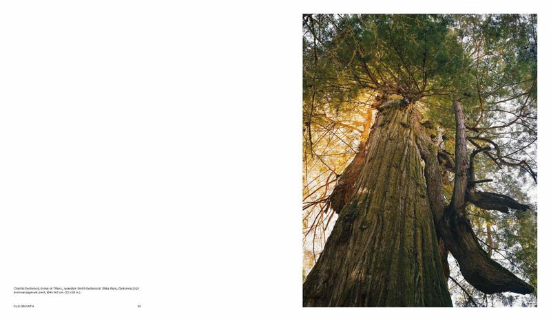 Mitch Epstein: American Nature