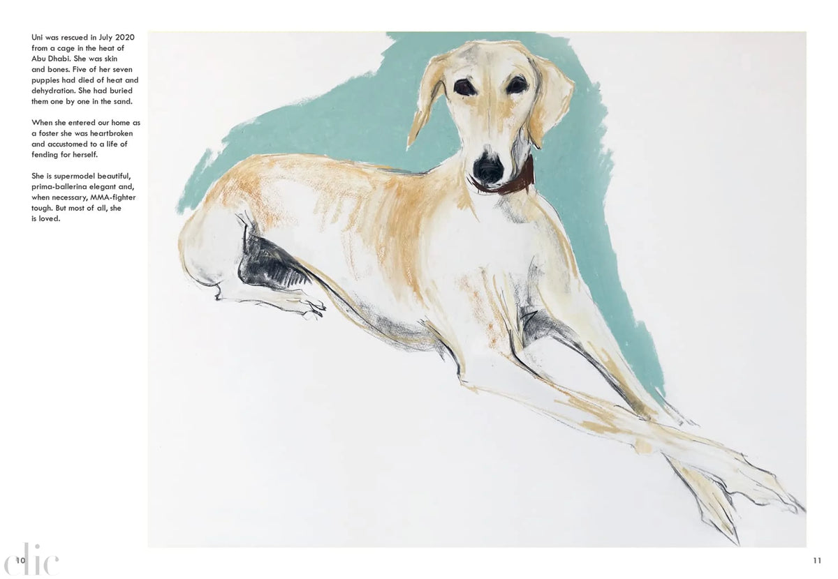 Rescue Dogs: A beautiful portraiture book of man’s best friend, the perfect gift for artists and dog lovers alike