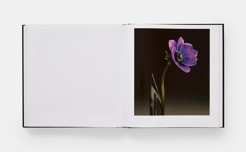 Mapplethorpe Flora: The Complete Flowers