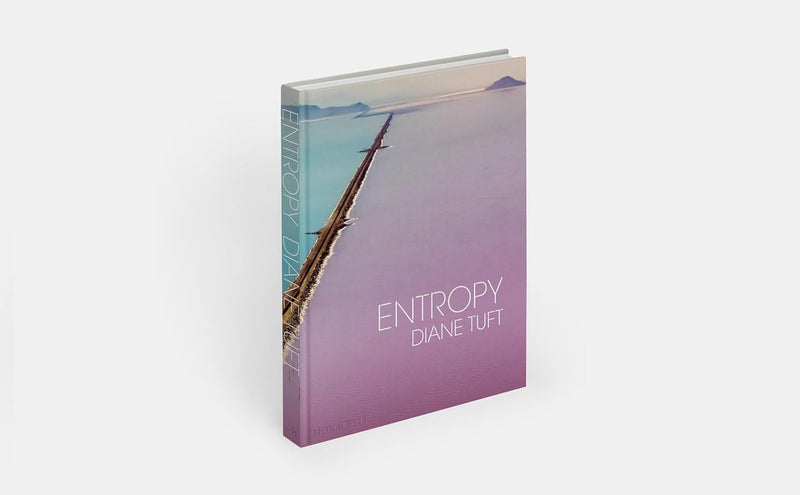 Entropy - Diane Tuft