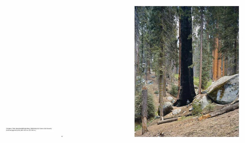 Mitch Epstein: American Nature