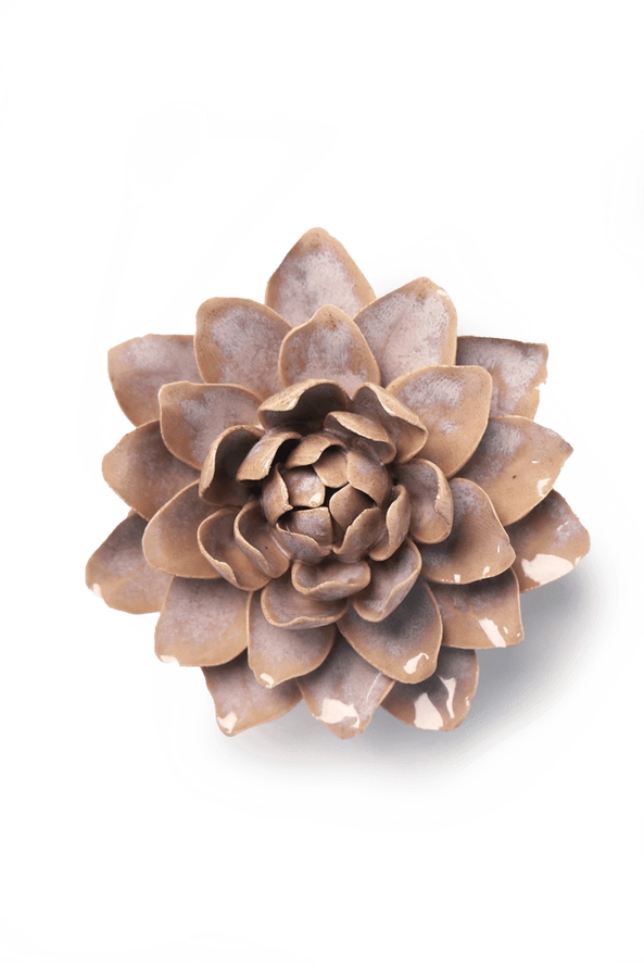 Waterlily July Birth Flower