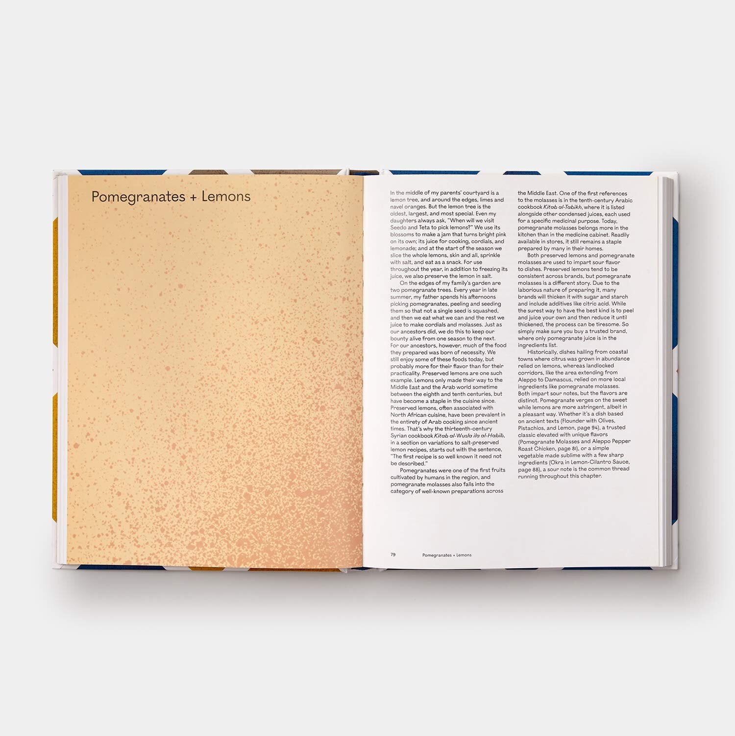The Arabesque Table: Contemporary Recipes from the Arab World