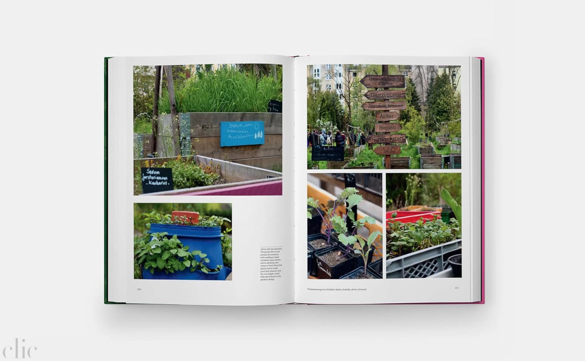 The Kitchen Garden