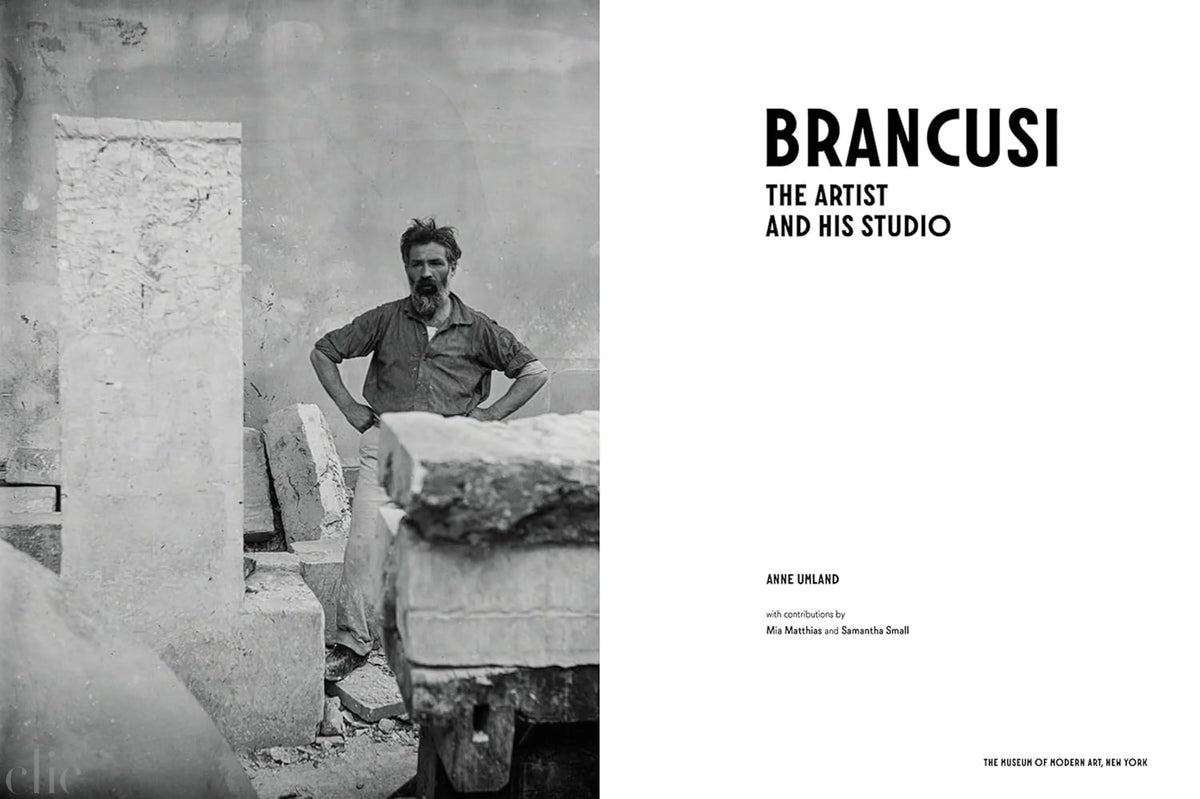 Brancusi: The Artist and His Studio