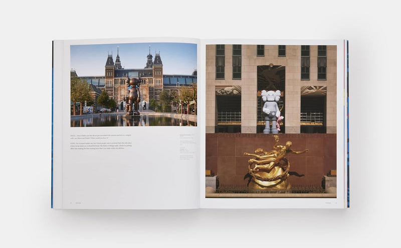 KAWS (Phaidon Contemporary Artists Series)