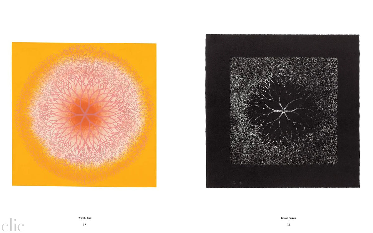 Ruth Asawa: The Tamarind Prints