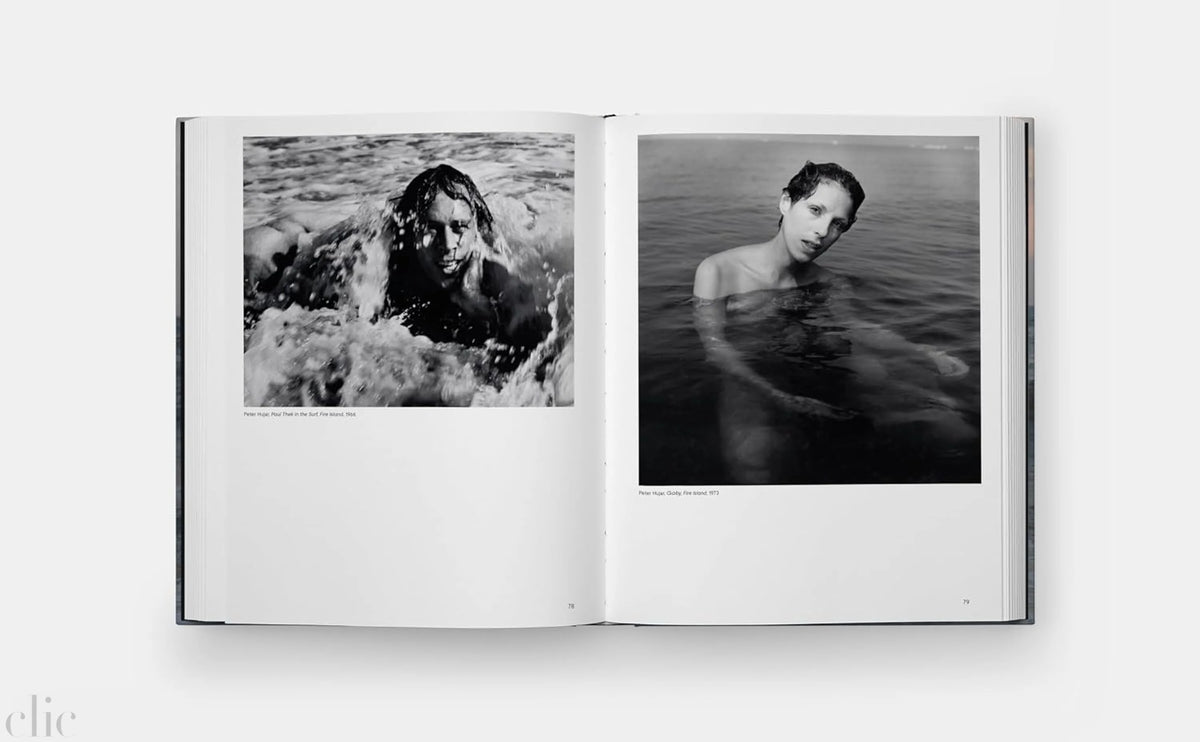 Fire Island Art: 100 Years