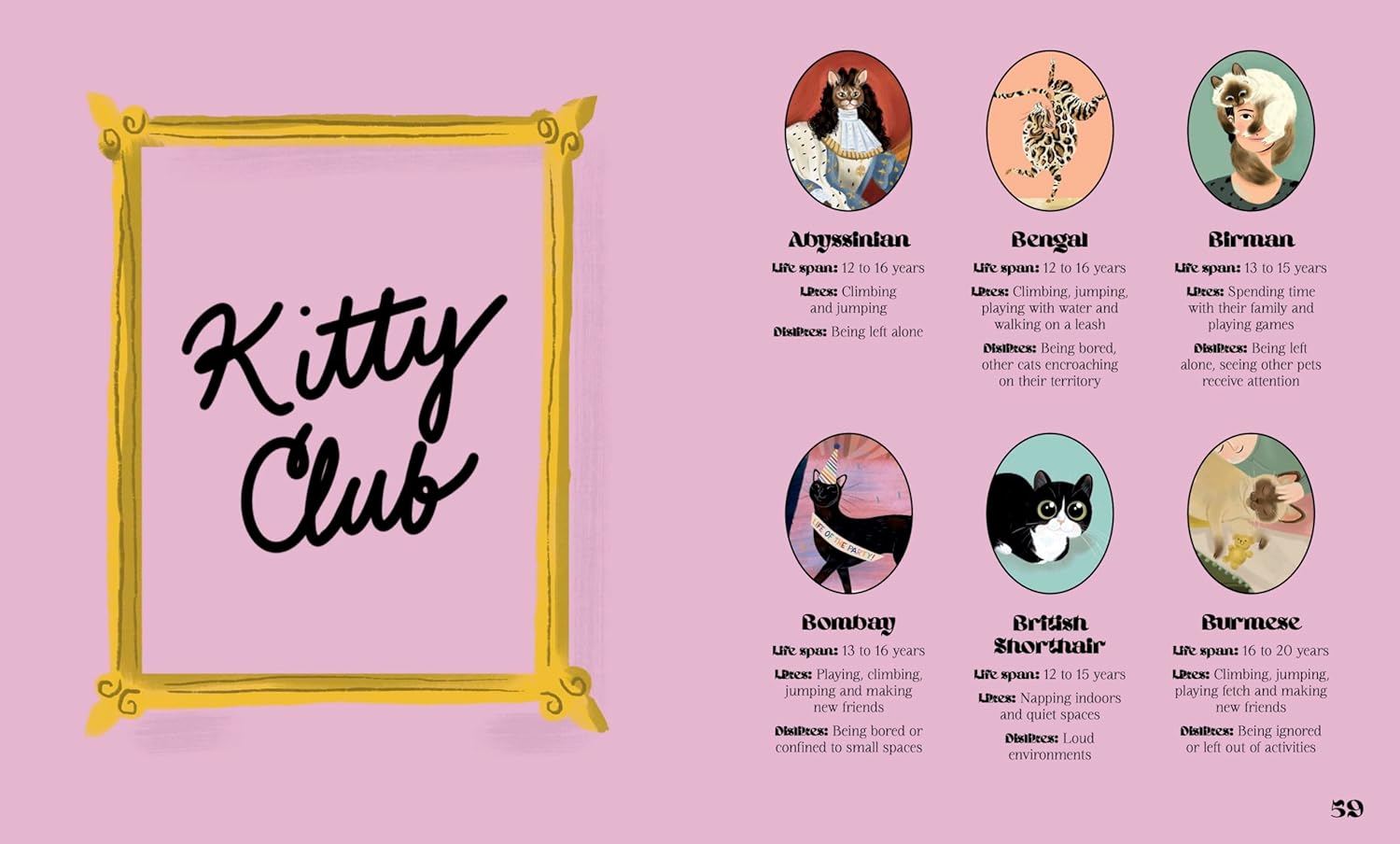 Catphabet: A whimsical celebration of our favourite feline friends